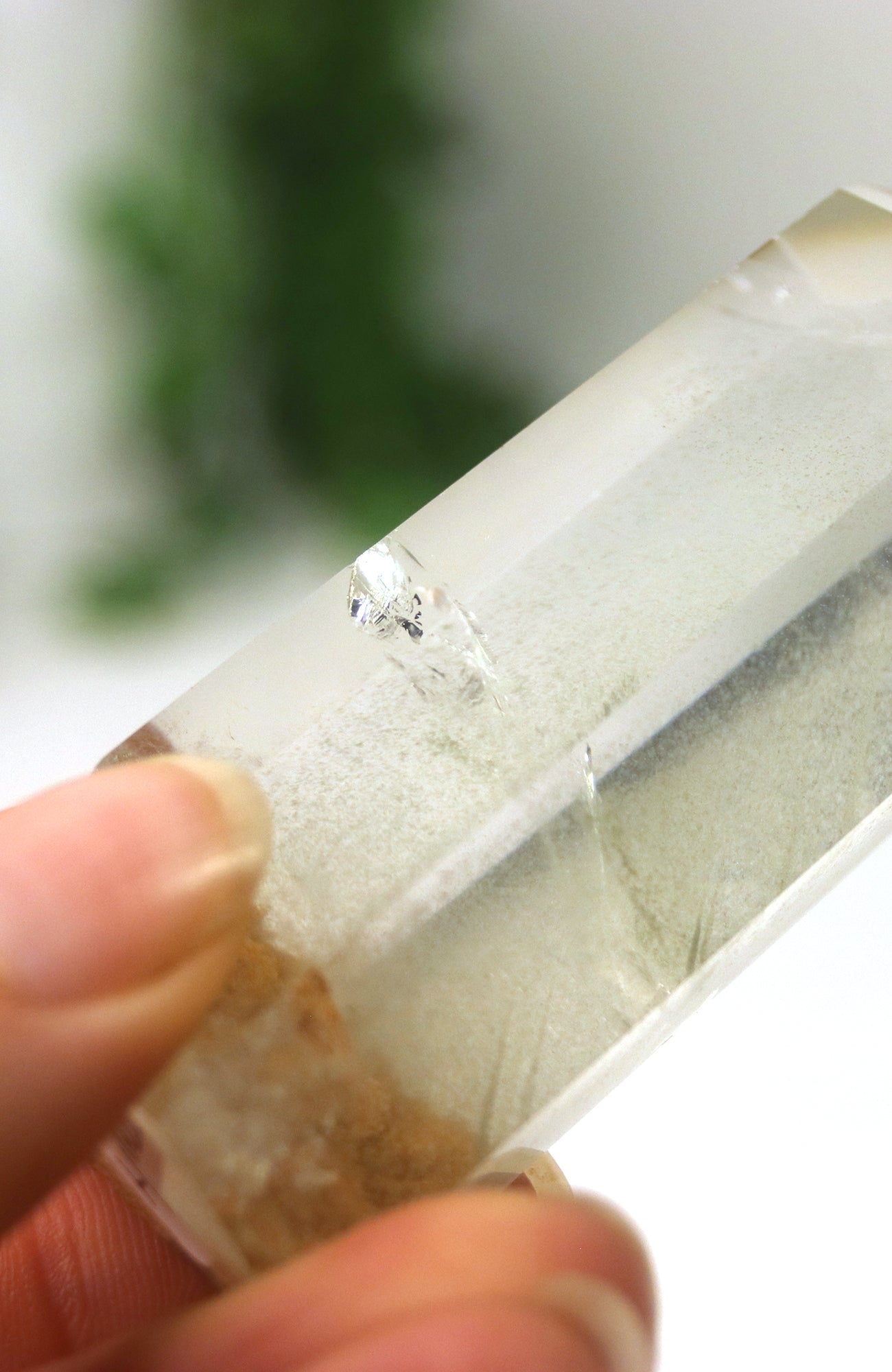 Lodalite Quartz Freeform Generator